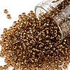 TOHO Round Seed Beads X-SEED-TR08-0754-1