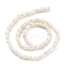 Natural Keshi Pearl Cultured Freshwater Pearl Beads Strands PEAR-P062-21-3