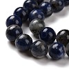 Natural Sodalite Beads Strands G-D481-12B-5