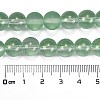 Frosted Transparent Glass Bead Strands GLAA-P065-10mm-04-3