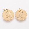 304 Stainless Steel Charms STAS-Q201-T445-5G-2