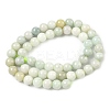 Natural Myanmar Jade/Burmese Jade Beads Strands G-K310-C05-8mm-01-4
