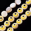 Natural Freshwater Shell Beads Strands SHEL-N003-15-4