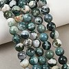 Natural Tree Agate Beads Strands G-I199-03-10mm-8