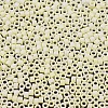 MIYUKI Delica Beads SEED-X0054-DB1521-3