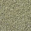 MIYUKI Delica Beads SEED-MY11-DB1181-3