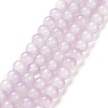 Baking Paint Glass Beads Strands DGLA-R053-01B-1