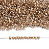 TOHO 11/0 Round Beads X-SEED-TR11-0989-4
