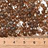 Picasso Baking Paint Glass Seed Beads X1-SEED-A032-02A-18-4
