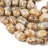 Natural Crazy Agate Beads Strands G-G453-D03-01-4