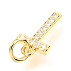 Brass Micro Pave Cubic Zirconia Charms ZIRC-O037-10G-3