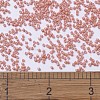 MIYUKI Delica Beads LS-X-SEED-J020-DB1363-4