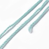 3-Ply Polyester Luminous Yarn LS-OCOR-C003-01B-3