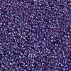 TOHO Round Seed Beads SEED-JPTR15-0252-2