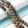 Natural Dendritic Jasper Beads Strands G-E598-01-4