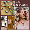 6Pcs Ethnic Style Zinc Alloy with Resin Connector Charms FIND-PH0028-05B-5