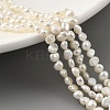 Natural Cultured Freshwater Pearl Beads Strands PEAR-A006-02C-X-1