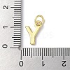 Rack Plating Brass Charms KK-P245-06G-Y-3