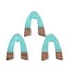 Resin & Wood Pendants WOOD-F015-16D-1
