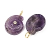 Natural Amethyst Pendants G-H353-02G-07-2