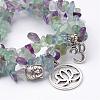 Natural Fluorite Stretch Bracelet Sets BJEW-JB02621-2