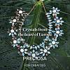 Preciosa® MAXIMA Crystal Fancy Stones X-PRC-FG15-00030-5
