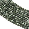 Natural Seraphinite Beads Strands G-K376-A02-2mm-4