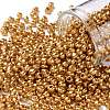 8/0 Glass Seed Beads X-SEED-A017-3mm-1108-1