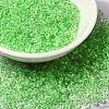 8/0 Transparent Glass Seed Beads SEED-F003-03B-13-1