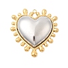 304 Stainless Steel Big Pendants STAS-H250-01GP-02-1