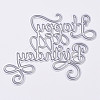 Carbon Steel Cutting Dies Stencils DIY-E017-20-1