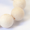 Frosted Natural Fossil Round Bead Strands G-E334-12mm-22-4