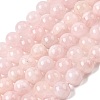 Natural Madagascar Rose Quartz Beads Strands LS-G-B167-A04-10mm-2