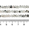 Natural Sesame Jasper Beads Strands G-M403-A40-01-5