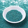 MIYUKI Round Rocailles Beads SEED-JP0008-RR0147FR-2