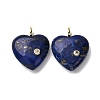 Dyed Natural Lapis Lazuli Pendants G-P588-01G-08-1