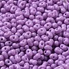 Baking Paint Glass Seed Beads SEED-K009-01B-11-3