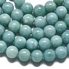 Natural Malaysia Jade Beads Strands G-L645-A01-14mm-25-2