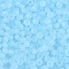FGB Frosted Transparent Glass Seed Beads SEED-N013-04A-11-3