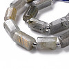 Natural Labradorite Beads Strands X-G-S345-8x11-001-3