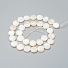 Natural Freshwater Shell Beads BSHE-I011-01C-02-2