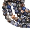 Natural Sodalite Beads Strands G-D481-12A-4