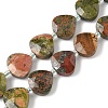 Natural Unakite Beads Strands G-D316-A13-2
