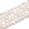 Natural Cultured Freshwater Pearl Beads Strands PEAR-N027-02B-2