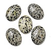 Natural Dalmatian Jasper Cabochons G-C115-01B-10-1