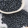 Opaque Glass Seed Beads SEED-K009-06B-06-1