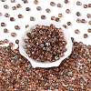 Picasso Transparent Glass Beads SEED-Q039-04I-2