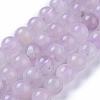 Natural Amethyst Beads Strands G-P433-23A-4