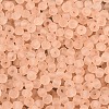 FGB Frosted Transparent Glass Seed Beads SEED-N013-04A-03-3