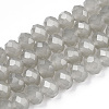 Glass Beads Strands EGLA-A034-J8mm-D10-1